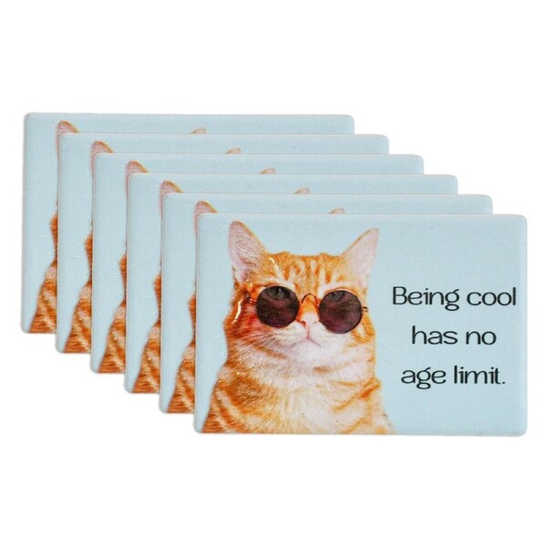 6x LVD Cool Age Limit Ceramic 9cm Fridge Magnet/Magnetic Kitchen Rectangle