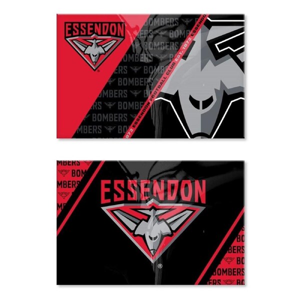 AFL Magnet Set of 2 - Essendon Bombers - Set of Two Magnets