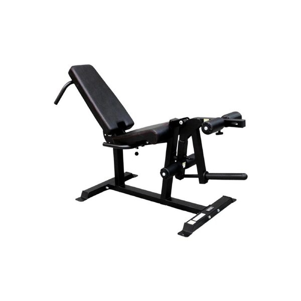 Body Iron Leg Extension & Prone Curl Machine