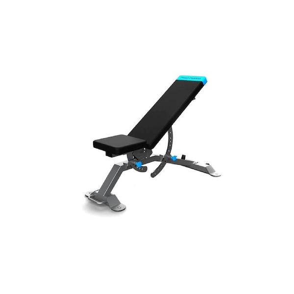 Proform Adjustable FID Bench