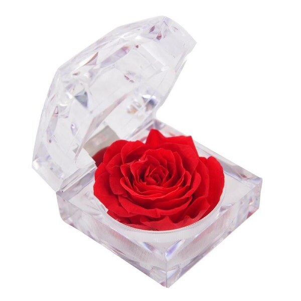 Gibson Gifts Love Rose in Box (Box of 12) 20806