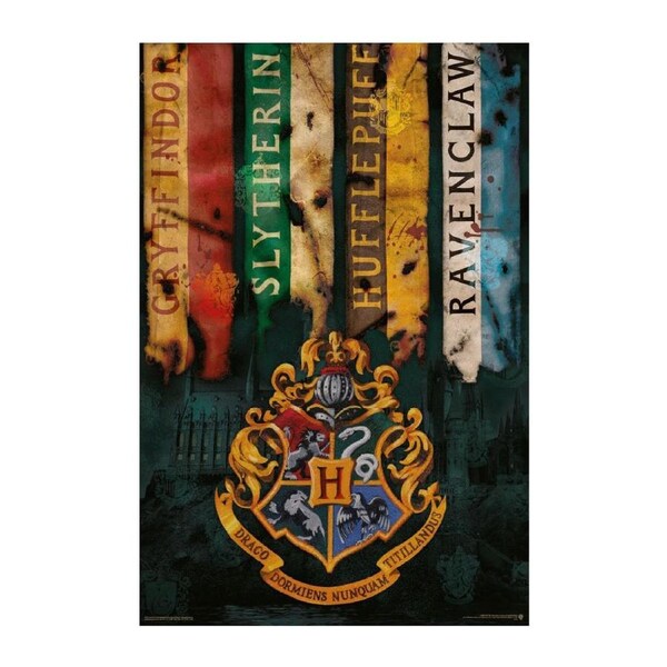 Impact Merch Harry Potter House Flags Room Display Regular Sized Poster 92x61cm