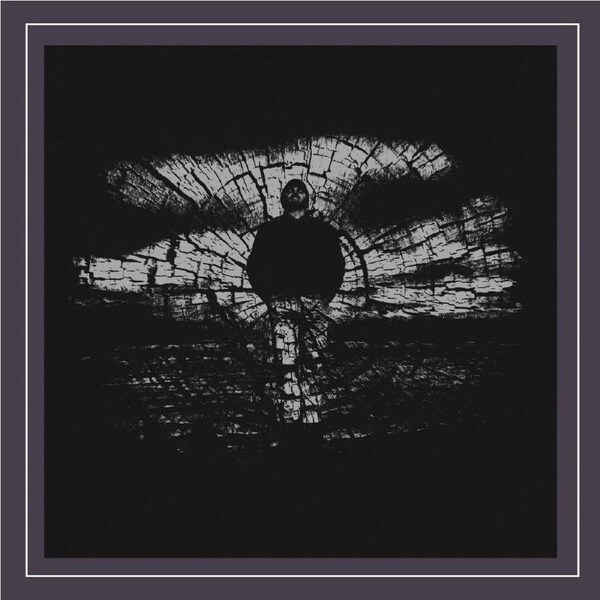 None The Wiser - Chris Wood CD