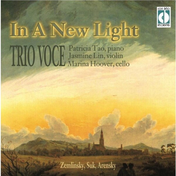 In a New Light - Trio Voce CD