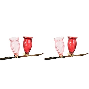4pc Urban Products Decorative Kinkora Flower Clip Vases Clear Home Decor Light