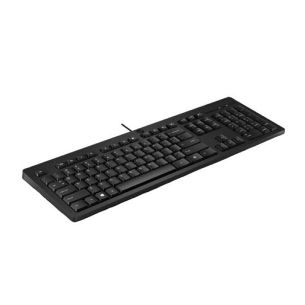 HP 125 Wired Keyboard - Compatible with Windows 10, Desktop PC, Laptop, Notebook USB Plug and Play Connectivity, Easy Cleaning 1YR WTY