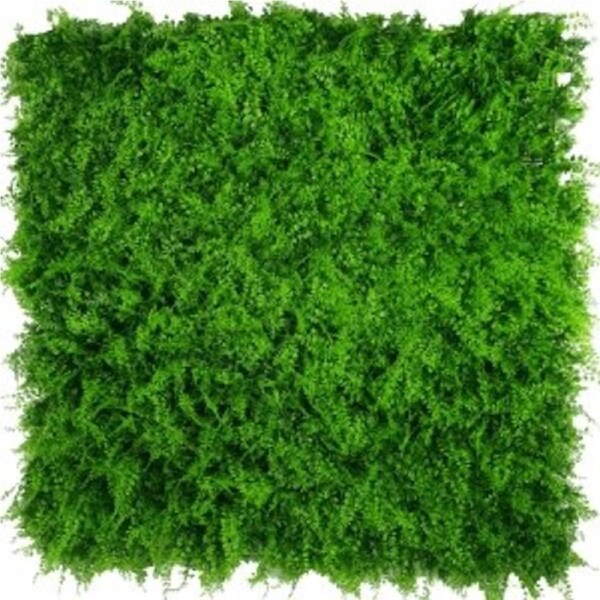 Sample - Dense Fern Artificial Vertical Garden (25cm x 25cm)