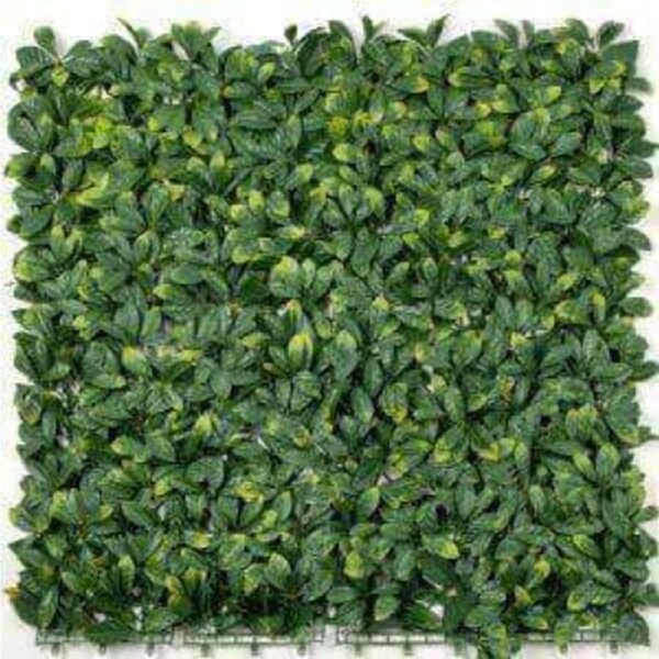 Sample - Lemon Leaf Artificial Hedge Panel (25cm x 25cm)