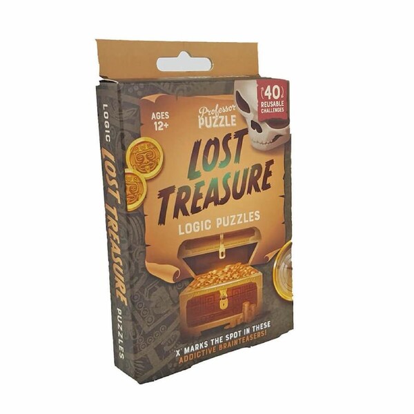 Lost Treasure Professor Puzzle Logic Puzzles