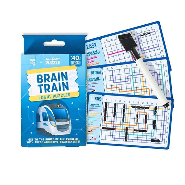 Brain Train Logic Puzzles Professor Puzzle