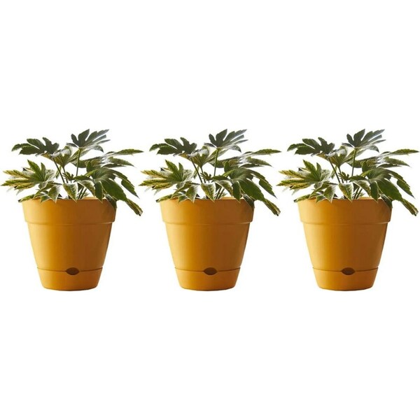 3x Northcote Pottery Leonard 20x18cmSelf Watering Plant Pot Garden Decor Yellow