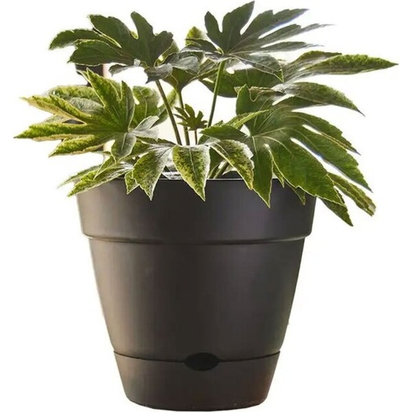 Northcote Pottery Leonard 38x34cm Self Watering Plant Pot Garden Decor Black