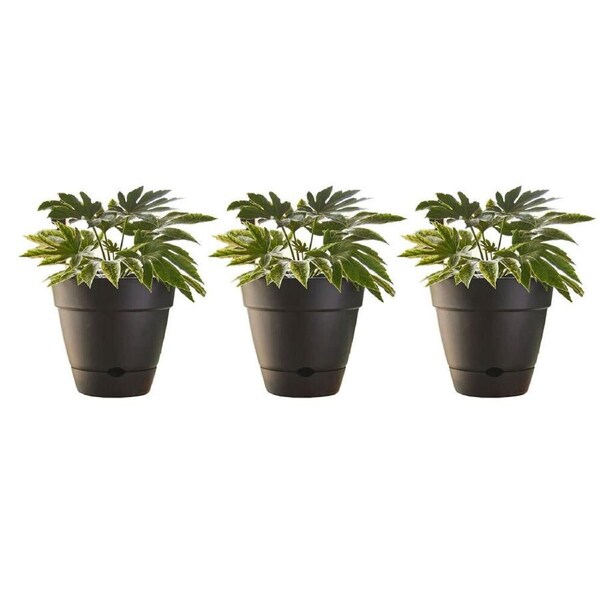 3x Northcote Pottery Leonard 20x18cm Self Watering Plant Pot Garden Decor Black