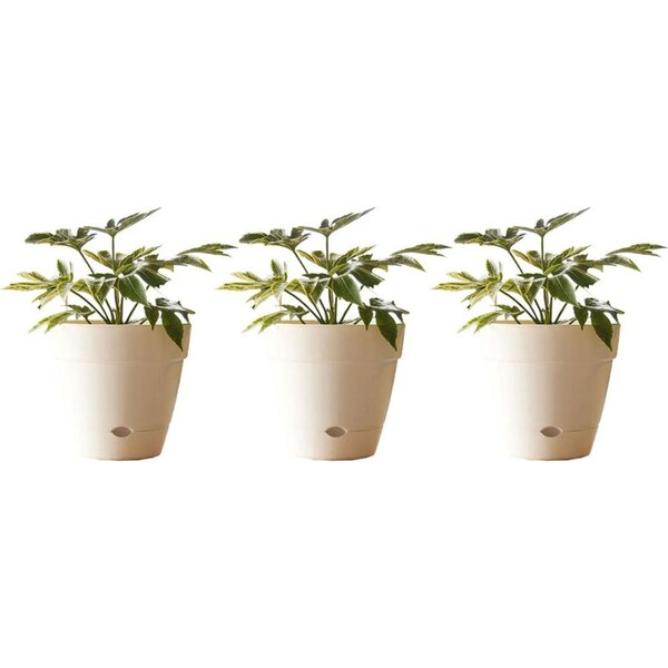 3x Northcote Pottery Leonard 20x18cm Self Watering Plant Pot Garden Decor Wht