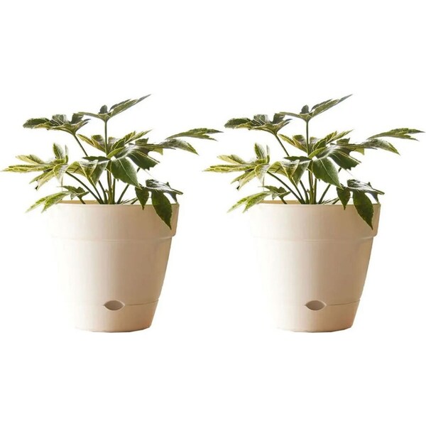 2x Northcote Pottery Leonard 25x23cm Self Watering Plant Pot Garden Decor White