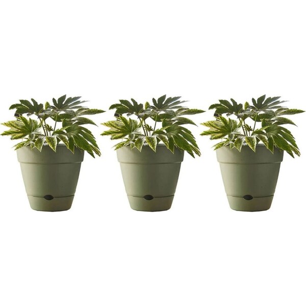 3x Northcote Pottery Leonard 20x18cm Self Watering Plant Pot Garden Decor Green