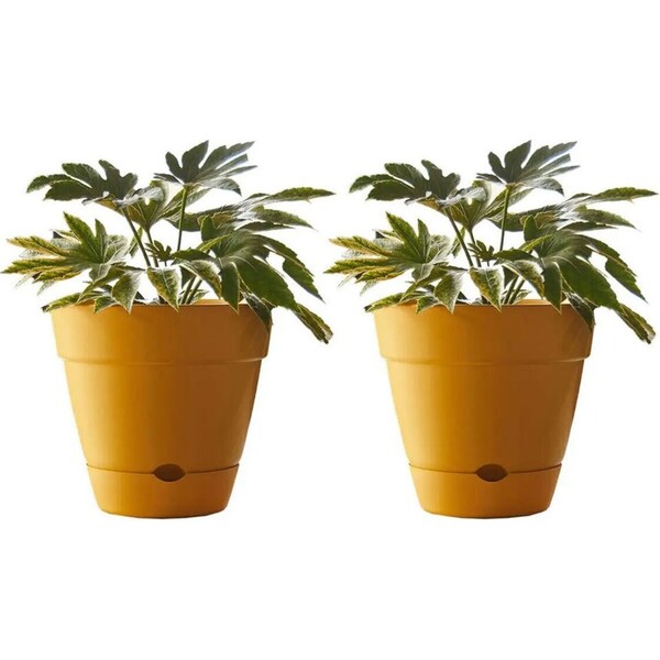 2x Northcote Pottery Leonard 25x23cm Self Watering Plant Pot Garden Decor Yellow