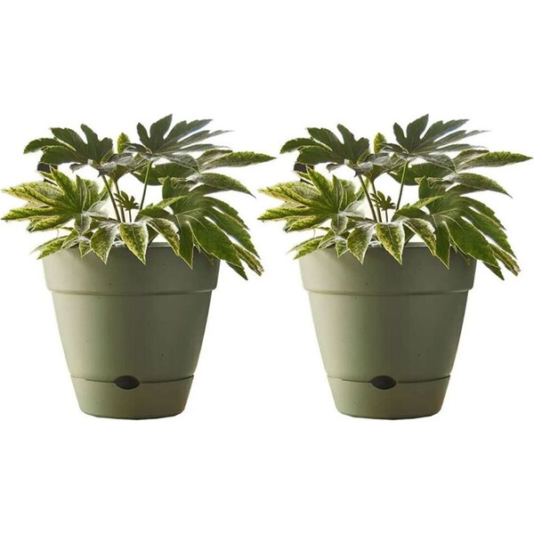 2x Northcote Pottery Leonard 25x23cm Self Watering Plant Pot Garden Decor Green