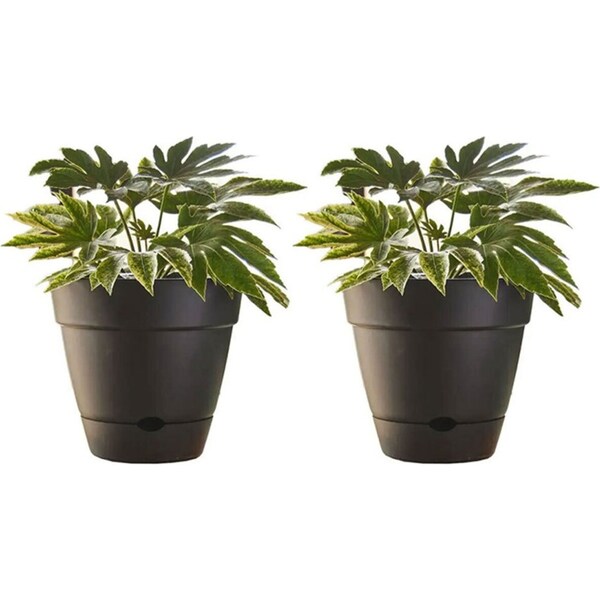 2x Northcote Pottery Leonard 25x23cm Self Watering Plant Pot Garden Decor Black