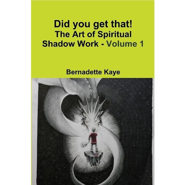 Did you get that! The Art of Spiritual Shadow Work - Volume 1 - Bernadette Kaye