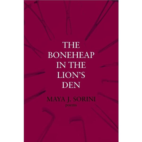 The Boneheap in the Lions Den - Maya J Sorini