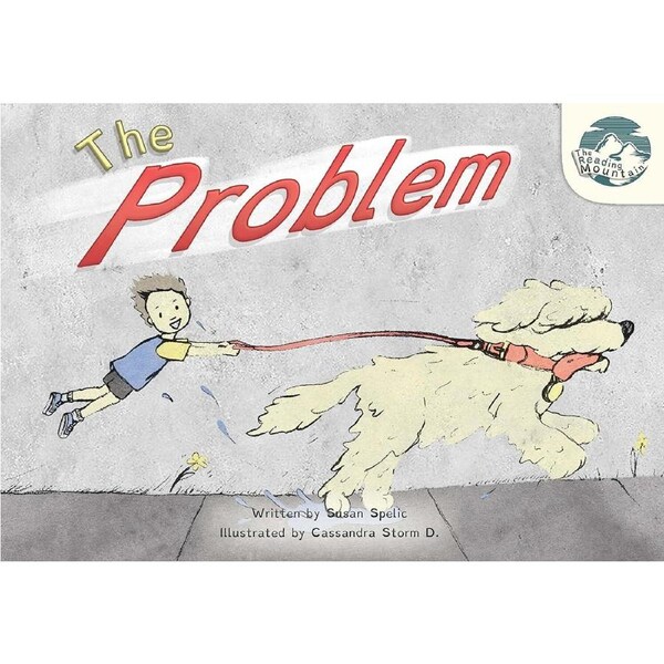 The Problem: Big Book