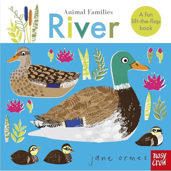 Animal Families: River - Jane Ormes