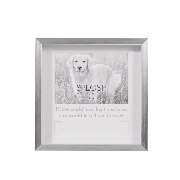 Splosh Sympathy Pet Memorial Collar Frame Standing Display Cat/Dog Keepsake 25cm