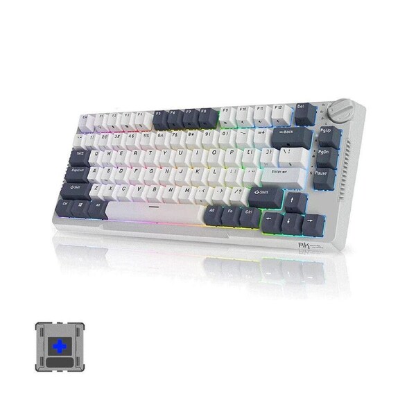 RK Royal RKH81 (18837) 3 Model RGB Hot Swap White Blue Switch