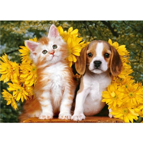 Castorland Kitten Puppy and Flowers Jigsaw Puzzle 108pcs
