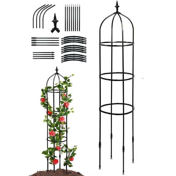 Garden Plant Obelisk Trellis for Climbing Vines and Flowers