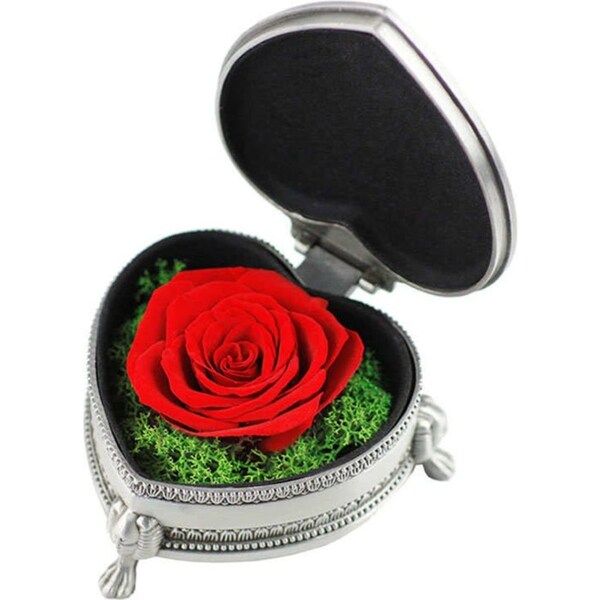 Catzon Preserved Flower Rose Heart Gift Box Valentines Day Gift for Her Wife-Silver/Red