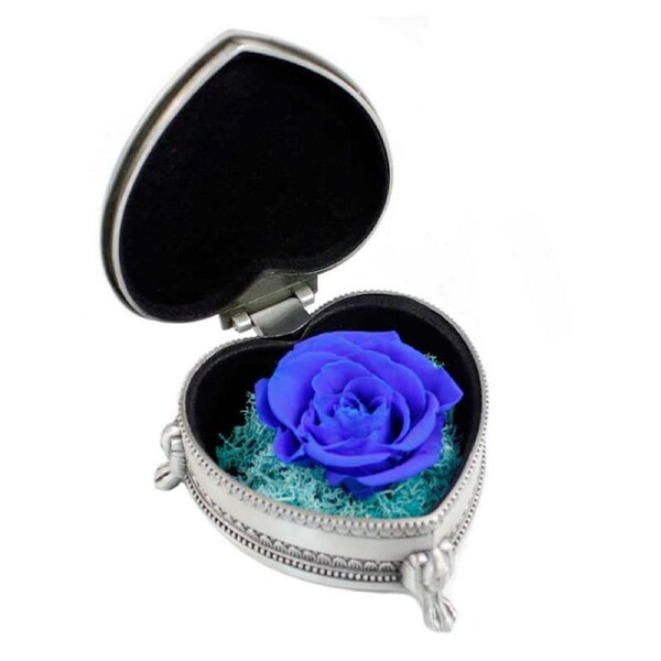 Catzon Preserved Flower Rose Heart Gift Box Valentines Day Gift for Her Wife-Silver/Blue