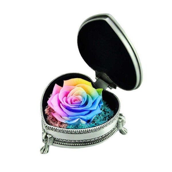 Catzon Preserved Flower Rose Heart Gift Box Valentines Day Gift for Her Wife-Silver/Color