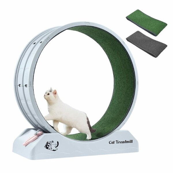 Cat Wheel Running Toy Exerciser Fitness Workout Treadmill Machine Indoor Feline Spinning Walking Training Circle Plastic