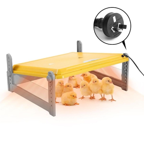 Chick Brooder Heating Plate Chicken Chook Heater Coop Adjustable Poultry Duck Quail Brooding Warmer for 40 to 50 Chicks