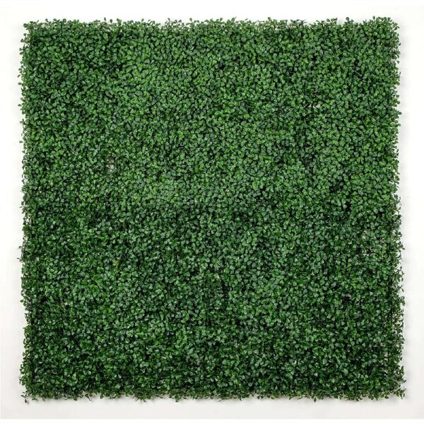 Sample - Boxwood Artificial Hedge Panel (25cm x 25cm)