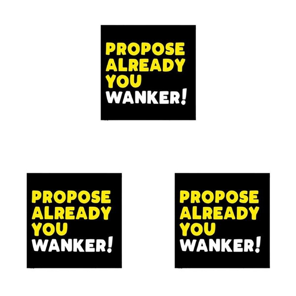 3PK Filthy Sentiments Propose Already Wanker Blank Greeting Card w/Envelope 14cm