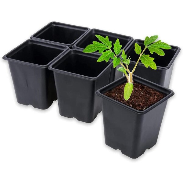 Garden Greens 48PK Planter Seedling Pots Square Reusable Durable 11cm x 12cm