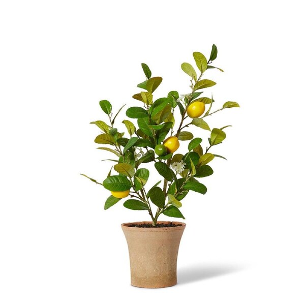 E Style Artificial Lemon Tree Plant Pot Home Decoration - 30 x 25 x 67cm