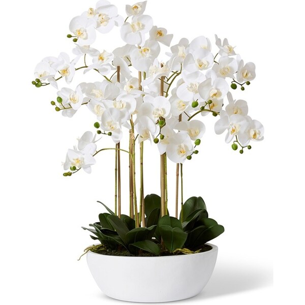 E Style Artificial Flower Phalaenopsis Curved Bowl Decor - 80 x 80 x 85cm