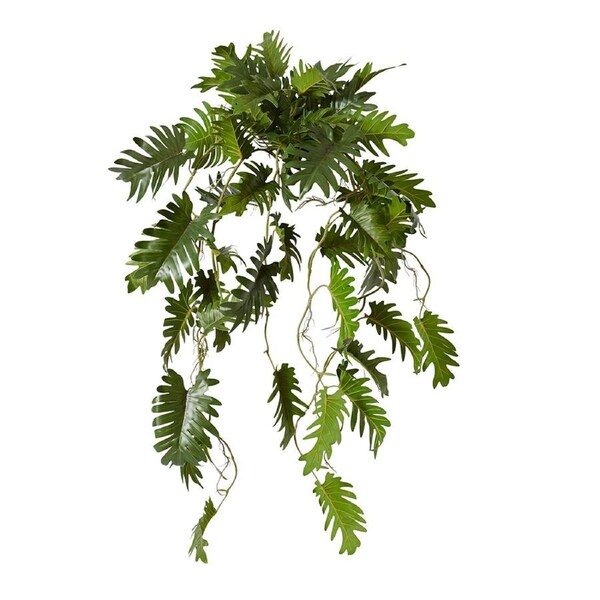 E Style Philodendron Hanging Plant Pre-Potted Home Decor - 38 x 35 x 84cm