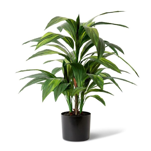 E Style Artificial Cordyline Plant Pre-Potted Home Decor - 60 x 60 x 67cm