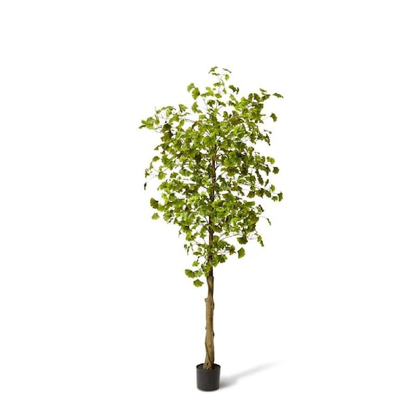 E Style Artificial Ginkgo Tree Plant Pre-Potted Home Decor - 80 x 80 x 213 cm