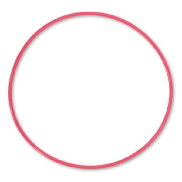 Olympus POL-E301 O-Ring for PPO-EP01