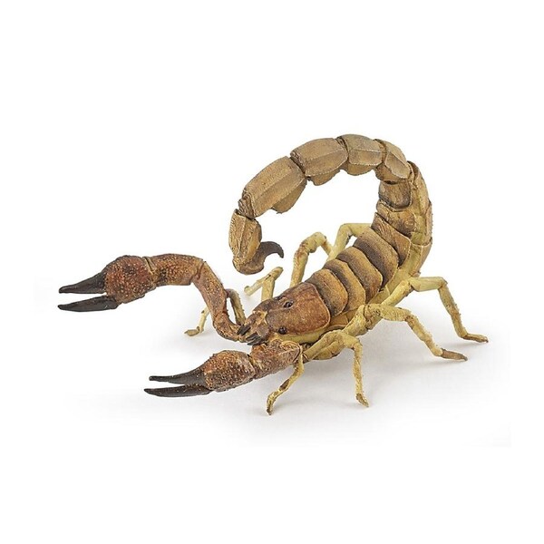 Papo France 10.5cm Scorpion Animal Figurine Kids/Children Collectible Fun Toy