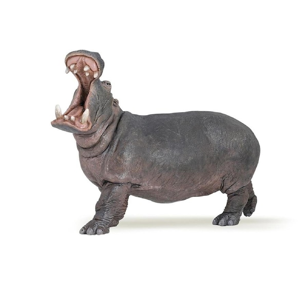 Papo France Hippopotamus Animal Figure Kids/Children Collectible Figurine Toy
