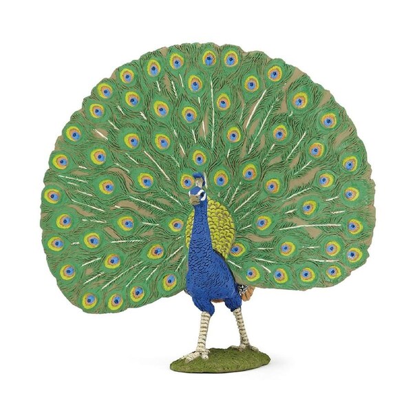 Papo France Peacock Animal Figure Kids/Children Collectible Figurine Fun Toy