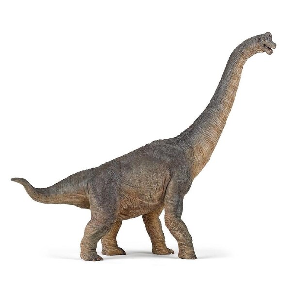 Papo France Brachiosaurus Dinosaur Figurine Kids/Children Animal Fun Play Toy