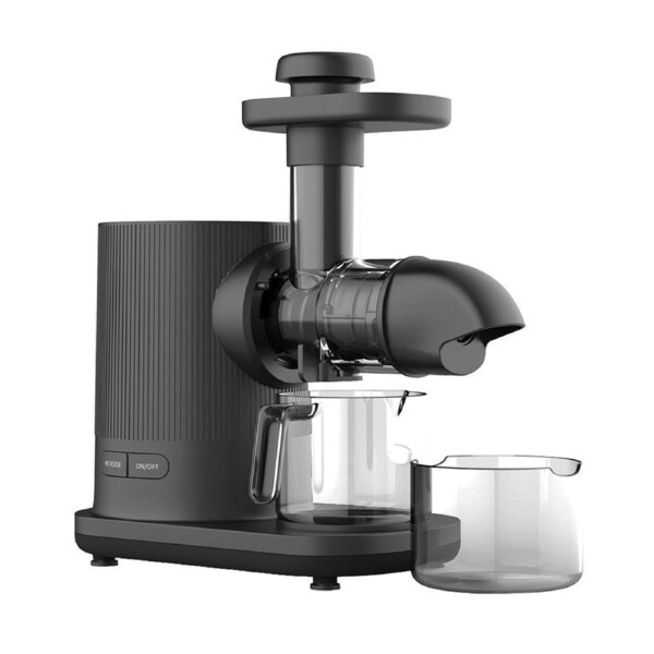 Healthy Choice Cold Press Slow Juicer